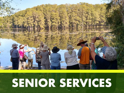 Senior Services